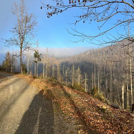 Waldhaus Hahnenklee *