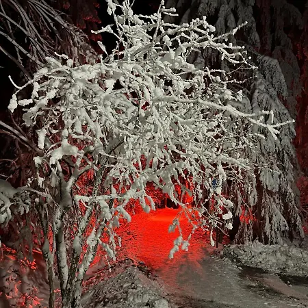 Waldhaus Hahnenklee Goslar