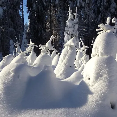 Waldhaus Hahnenklee 고슬라르