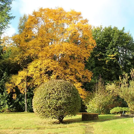 Apartment Waldhaus Hahnenklee