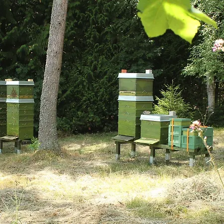 Apartment Waldhaus Hahnenklee