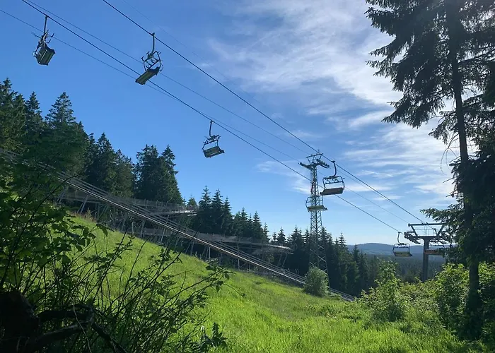 Апартаменты Waldhaus Hahnenklee