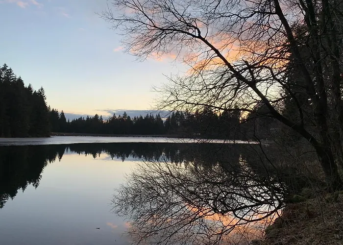 Апартаменты Waldhaus Hahnenklee Гослар