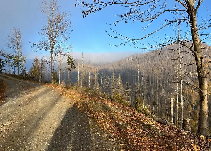 Waldhaus Hahnenklee *