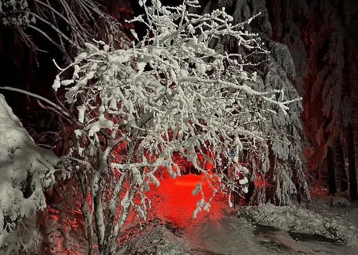 Waldhaus Hahnenklee Гослар