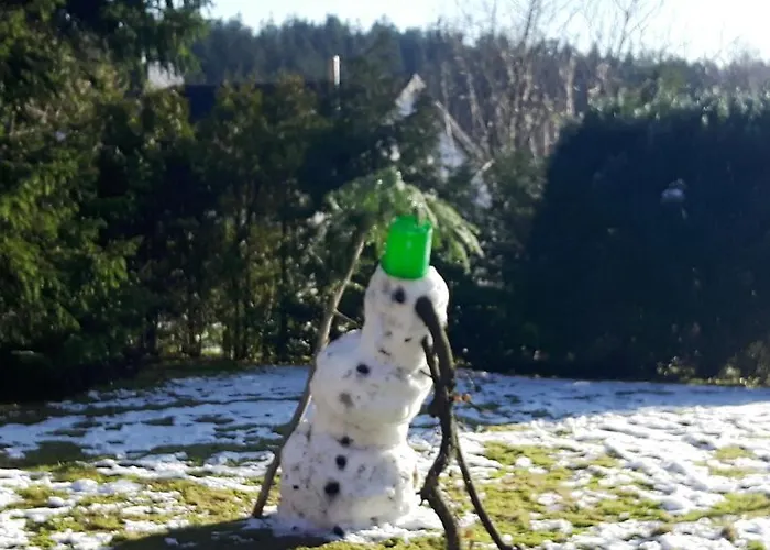 Апартаменты Waldhaus Hahnenklee *