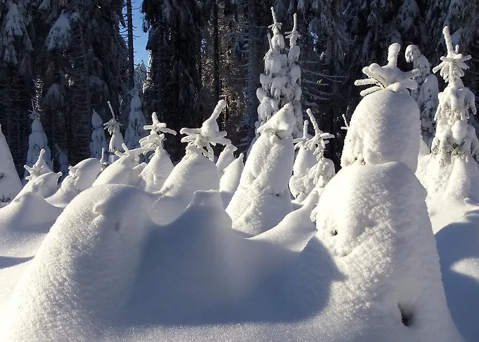 Waldhaus Hahnenklee Гослар