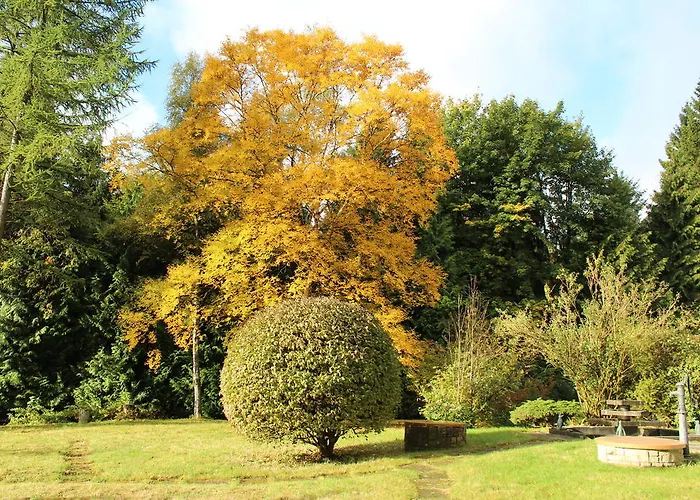 Апартаменты Waldhaus Hahnenklee