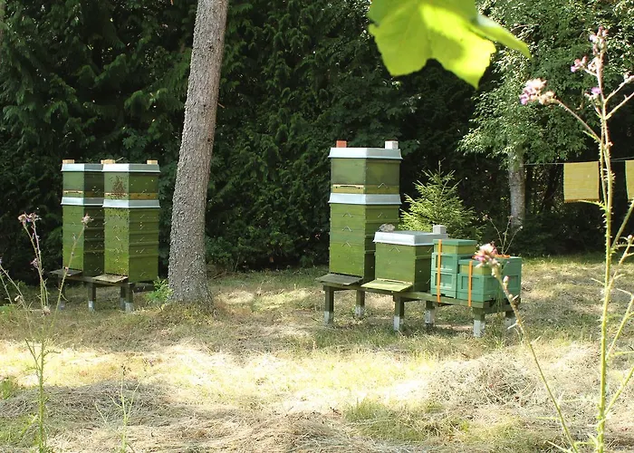 Апартаменты Waldhaus Hahnenklee